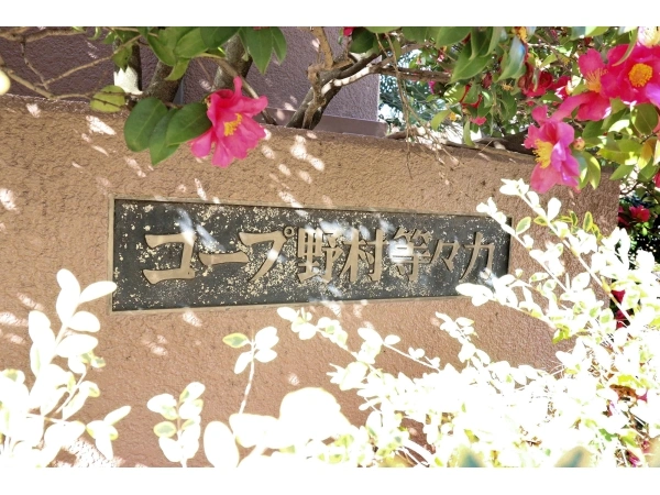コープ野村等々力