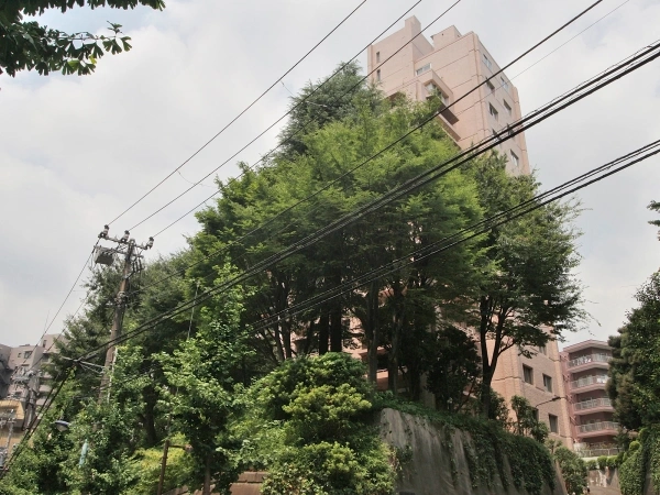 音羽ハウス