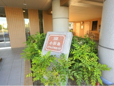 コアロード相模大野
