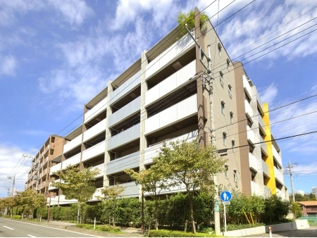 コアロード町田花水木通り