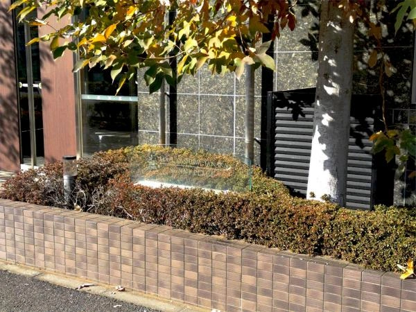 レクセル柏たなかサニープレイス