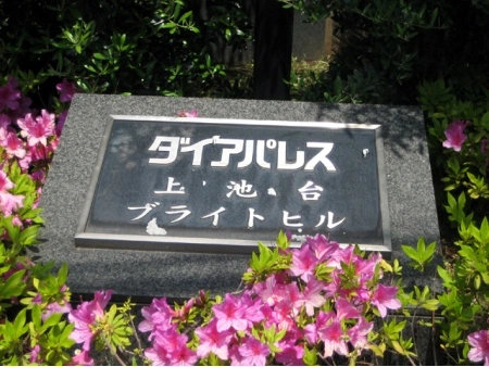 ダイアパレス上池台ブライトヒル
