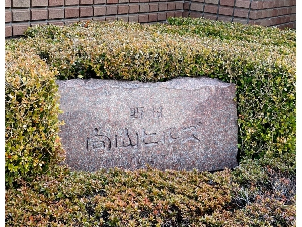 野村向山ヒルズ