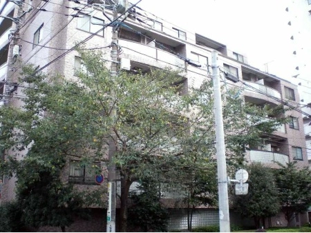 藤和シティホームズ目黒青葉台