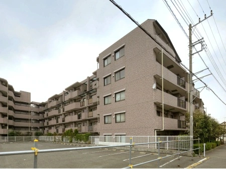 シーダム藤沢善行