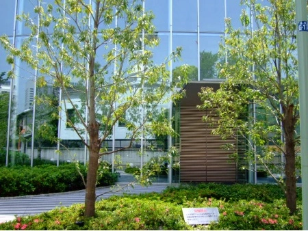 パークスクエア南品川