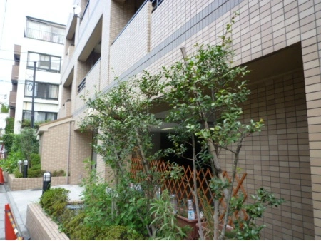 フリーディオ西麻布