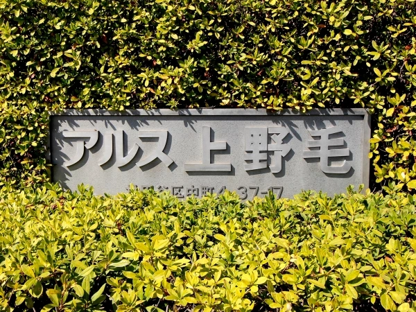 東急ドエルアルス上野毛
