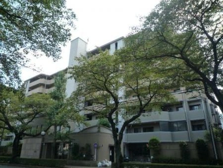 オーベル国立さくら通り