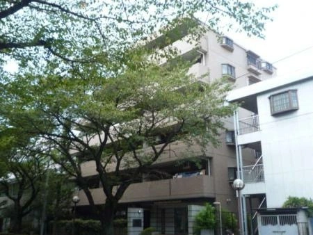 ライオンズマンション国立さくら通り