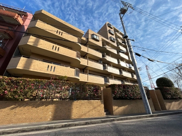 ラビデンス植田原