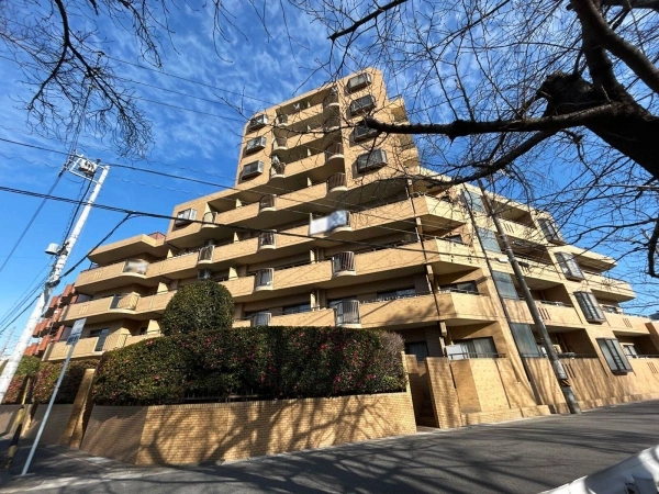 ラビデンス植田原