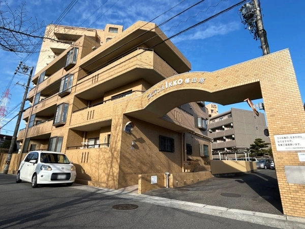 ラビデンス植田原