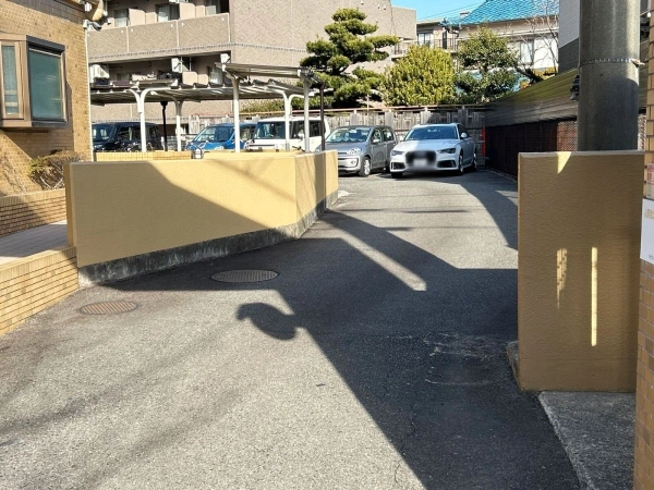 ラビデンス植田原