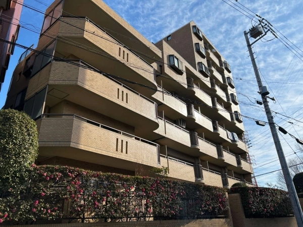 ラビデンス植田原