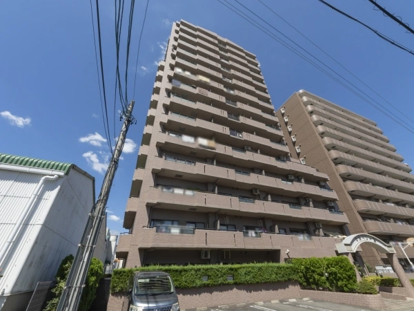 マルベリー原