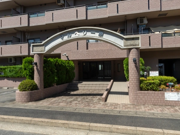 マルベリー原