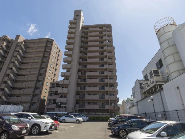マルベリー原