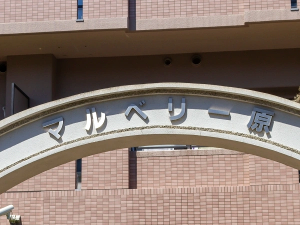 マルベリー原