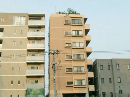 フォリア松濤