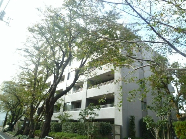 ルネ成城