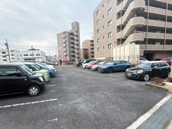 アピエス原