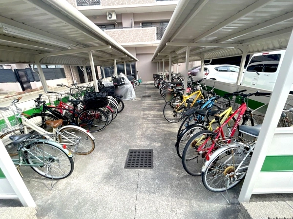 アピエス原