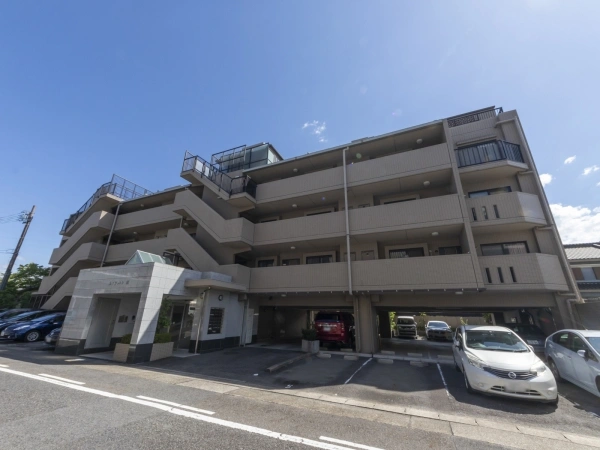 ルイシャトレ原