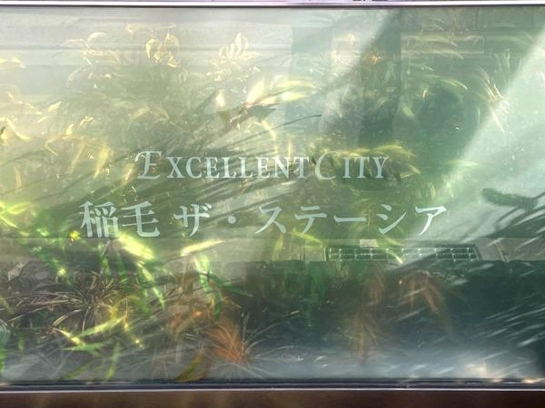 エクセレントシティ稲毛　ザ・ステーシア