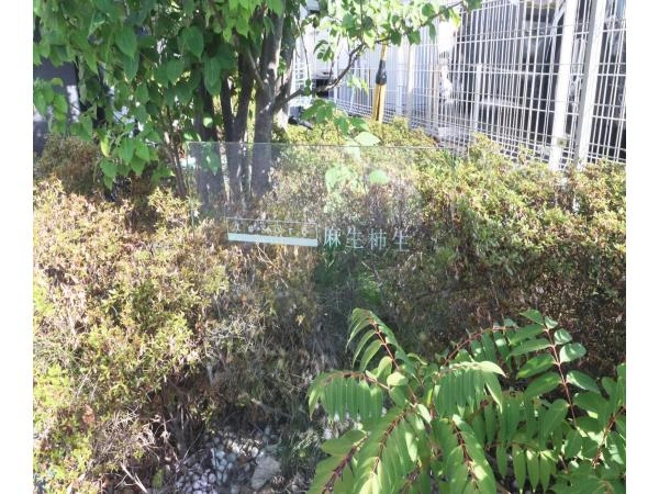 テゾーロ麻生柿生