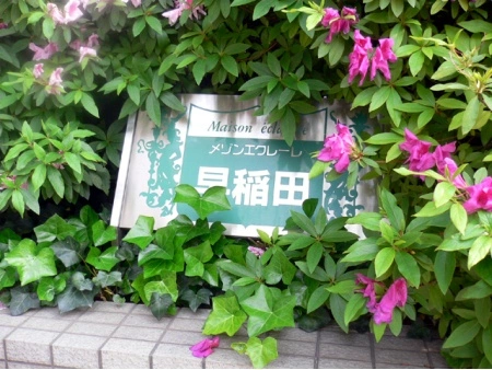 メゾンエクレーレ早稲田