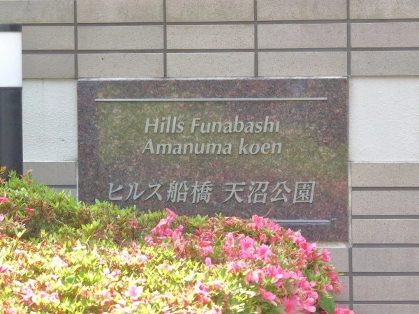 ヒルズ船橋天沼公園