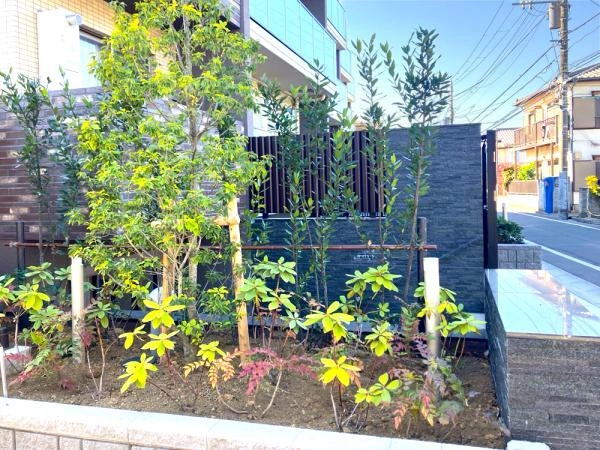 クレイシアアイズ中野鷺宮 敷地内