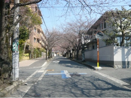 ブリリア箕面さくら並木通り