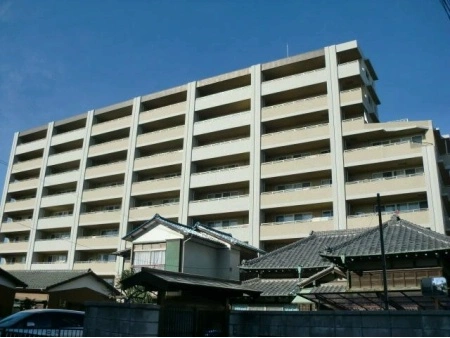アデニウム津田沼