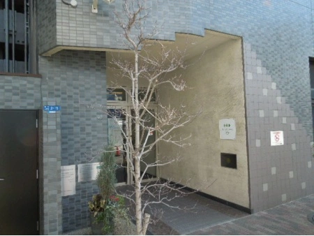 ネバーランド上町台