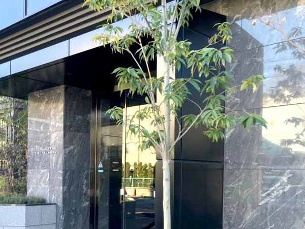 ヴェレーナグラン二子玉川