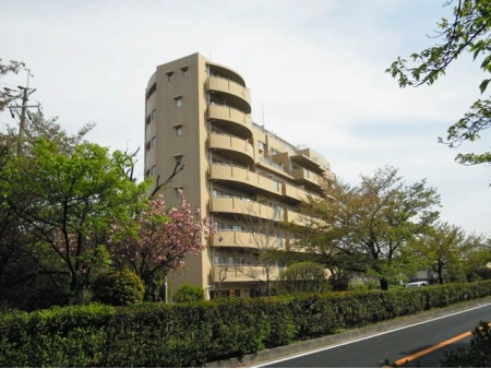 ネバーランド茨木さくら通り