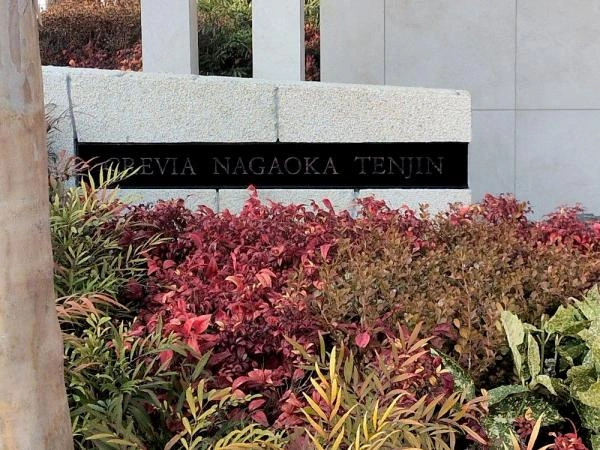 クレヴィア長岡天神