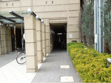 アルス南大江公園W’s