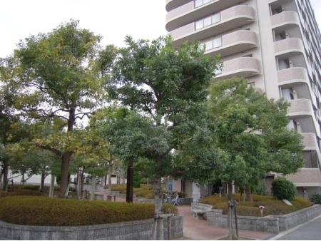 サンヴェール阿倍野晴明丘