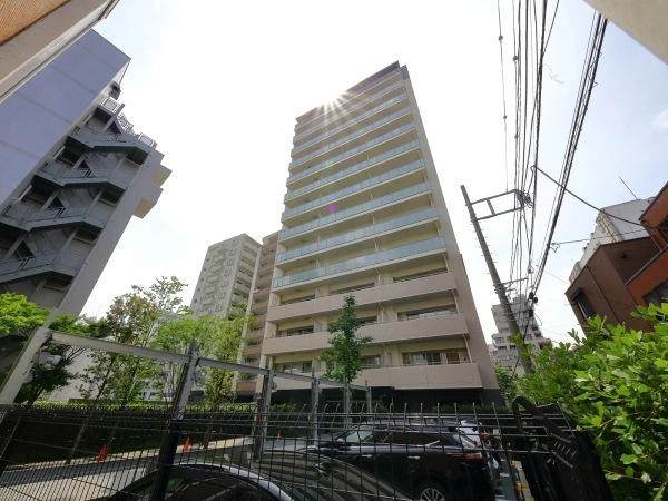 バウス柏