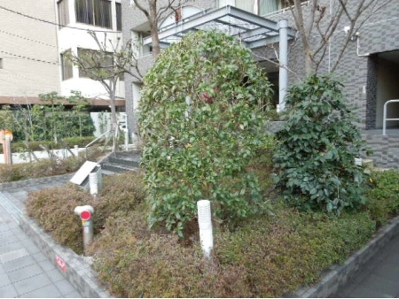 イトーピア長堀橋シエルクレール