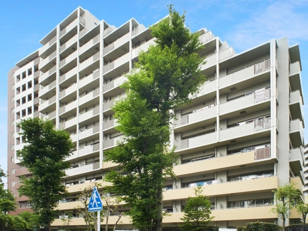 ジェネシティ