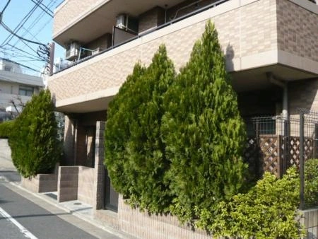 セザール千川駅前