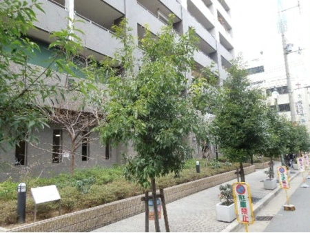 ロイヤルメドゥ東心斎橋