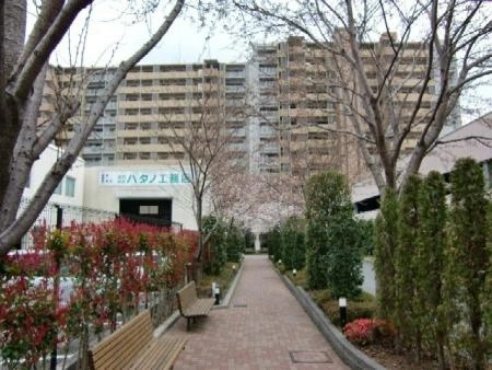 ライオンズマンション西橋本
