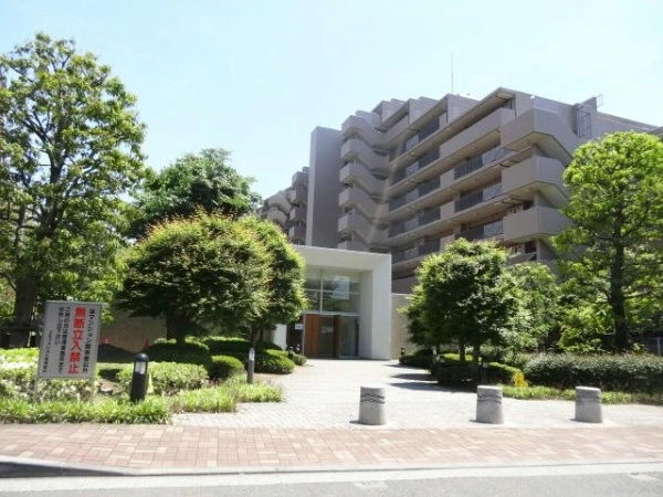 エルフォレスト