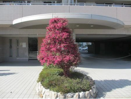 アルス西宮北口