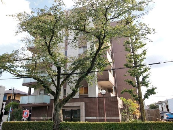 ネクステージ国立V
